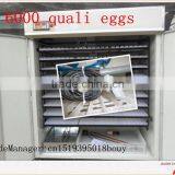 2640 Automatic Egg Incubator for Chicken WQ-2640 thumbnail-3