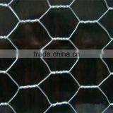 Electro Galvanized Hexagonal Wire Mesh
