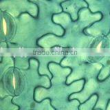 18pcs Indonesia Laboratory Microscope Glass Slide