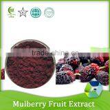 Mulberry Fruit Juice Concentrate Powder thumbnail-2