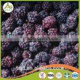 Asian Frozen Vegetables and Fruits Iqf Frozen Blackberry thumbnail-5