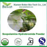 Best Quality Wholesale Pure 99% Scopolamine-Powder