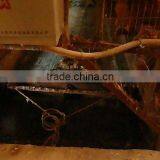 Manure Cleaning System for Poultry Shed