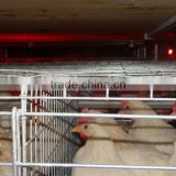 livestock farming equipment