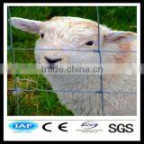 High Quality Best Price Hot Dipped Galvanized & PVC Cattle Fence (hot Sales,ISO9001) thumbnail-1