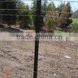 Hebei Anlida South AfricaY Post (ISO9001) thumbnail-1