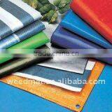 Woven Fabric With PE Laminated on Single Side thumbnail-1