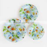 3pcs Glass Plate Set with Decal, Round Glass Dish, G321062