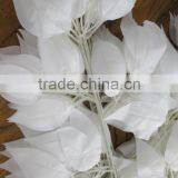 White Banyan Leaves/artificial Banyan Leaves/fake Banyan Leaves thumbnail-5