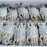 Well Selling Mud Crabs thumbnail-1
