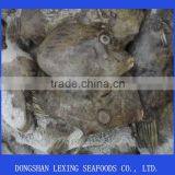 Leather Jacket Fish thumbnail-1