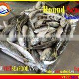 FROZEN W/R ROUND SCAD thumbnail-3