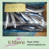 300g Fresh Frozen Mackerel thumbnail-1