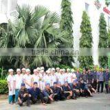 Hung Phat Tea Corporation company overview - view 1 thumbnail