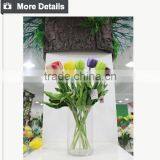 Hot Selling Tulip for Home Decoration Pieces and Valentine's Day Gift Flower thumbnail-6