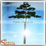 For Outdoor Landscaping Solar Lighted Palm Trees Tall Large Plastic Trees Customize Communication Tree and Plants thumbnail-2