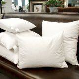 Feather Cushions thumbnail-1