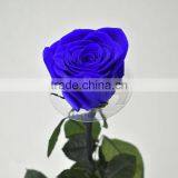 DIY Decoration Christmas Gifts Preserved Flowers Immortal Colorful Roses thumbnail-4