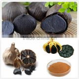 Natural Black Garlic Extract, Black Garlic Extract Powder-100% nutural health food