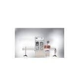 Automatic Liquid Quantitative Filling Line (two-headed) thumbnail-1