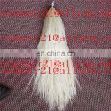 Coloured horse tail hairs for hot selling