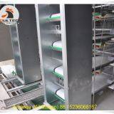 Ethiopia Hot Sale Poultry Farming Equipment - Battery Chicken Cage & Layer Cage & Chicken Coop & Hen Coop & Laying Hen Cage in Chicken House