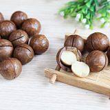 Macadamia Nut Drying Machine thumbnail-5
