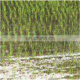 High Quality Rice Hole Direct Seeding Machine thumbnail-4