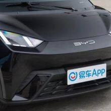 BYD-Seagull 305km thumbnail-3