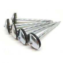 Corrugated Roofing Nails 2.5inch Straight Shank for Wooden Roof Structures thumbnail-5