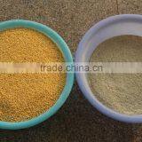 Green / Black Gram Dal Peeling Machine in India