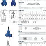 OEM Chinese Factory JIS DPS Non Rising Stem Gate Valve Quality Choice thumbnail-5