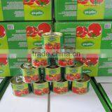 70gram Canned Tomato Paste Packed in 50 Tins per Carton thumbnail-4