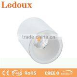 Modern Simply Design Led Ceiling Light