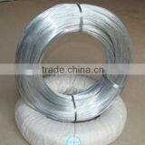 High Quality Galvanized Wire for Wire Mesh ( With ISO9001 and SGS )