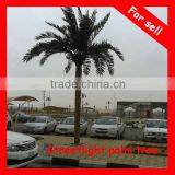 Outdoor Lighted Palm Trees Artificial Palm Tree With Light China Manufacturer