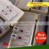 Fixed Set 100 Pieces for Higher Medical Educational Histopathology Slides