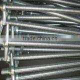 Q345 Scaffolding Part/ Hollow Screw Jack, 48mmD*915mmL
