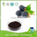 100% Natural Pigment 25% Anthocyanidins Top Quality Mulberry Fruit Extract