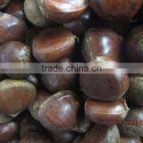 Organic Chestnuts,chestnuts for Sale thumbnail-1