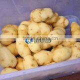 Commercial Turnip Fruit Vegetable Washing and Peeling Potato Ginger Washer and Peeler Machine thumbnail-3