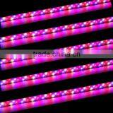 2016 Hot Product Marshydro Waterproof Hydroponic Grow Light Bar LED 23W 46W 92W Greenhouse Grow LED Light Bar thumbnail-6