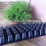 High Quality Vegetable Plastic Nursery Seedling Tray Black Plastic Plant Seed Growing Tray thumbnail-5