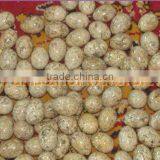 NEW EGGS MARBLE HANDICRAFTS thumbnail-1