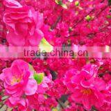 Artificial Peach Blossom Flower Tree for Graden Decoration thumbnail-4