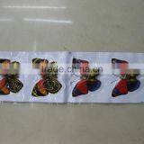 Butterfly Led Patches for Valentine's Day thumbnail-1