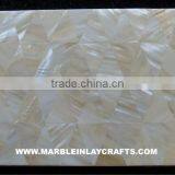 Mop Shell Corporative Tiles thumbnail-1