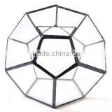 Stretched Dodecahedron 3 Sizes Geometric Fruit Glass Terrarium thumbnail-5
