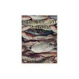 Egypt Mediterranean Fresh Fish thumbnail-1