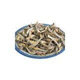 Sell Dried Anchovy thumbnail-1
